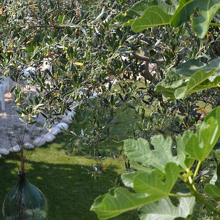 Giardinotto Casa Vacanze Altino  Buitenkant foto